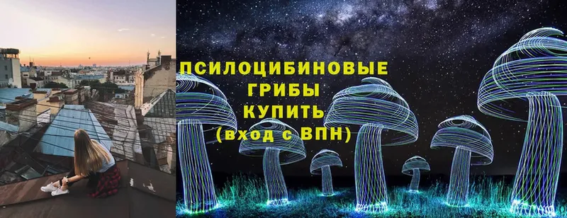 купить наркотик  кракен ССЫЛКА  Псилоцибиновые грибы Magic Shrooms  Кадников 